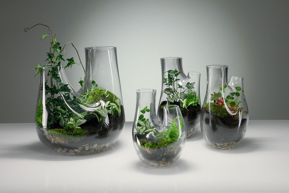 How to make your own terrarium lamps at home