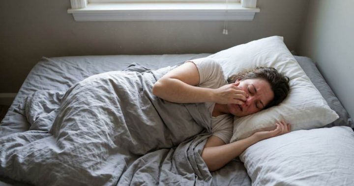 Dust mites and allergens inside a Houston bedroom mattress