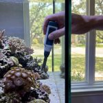 How to Stop Polyp Melting in Austin, TX