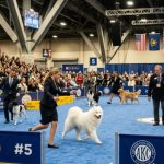 National Dog Show 2026: Dates, Tickets, Schedule, Breeds, and Events